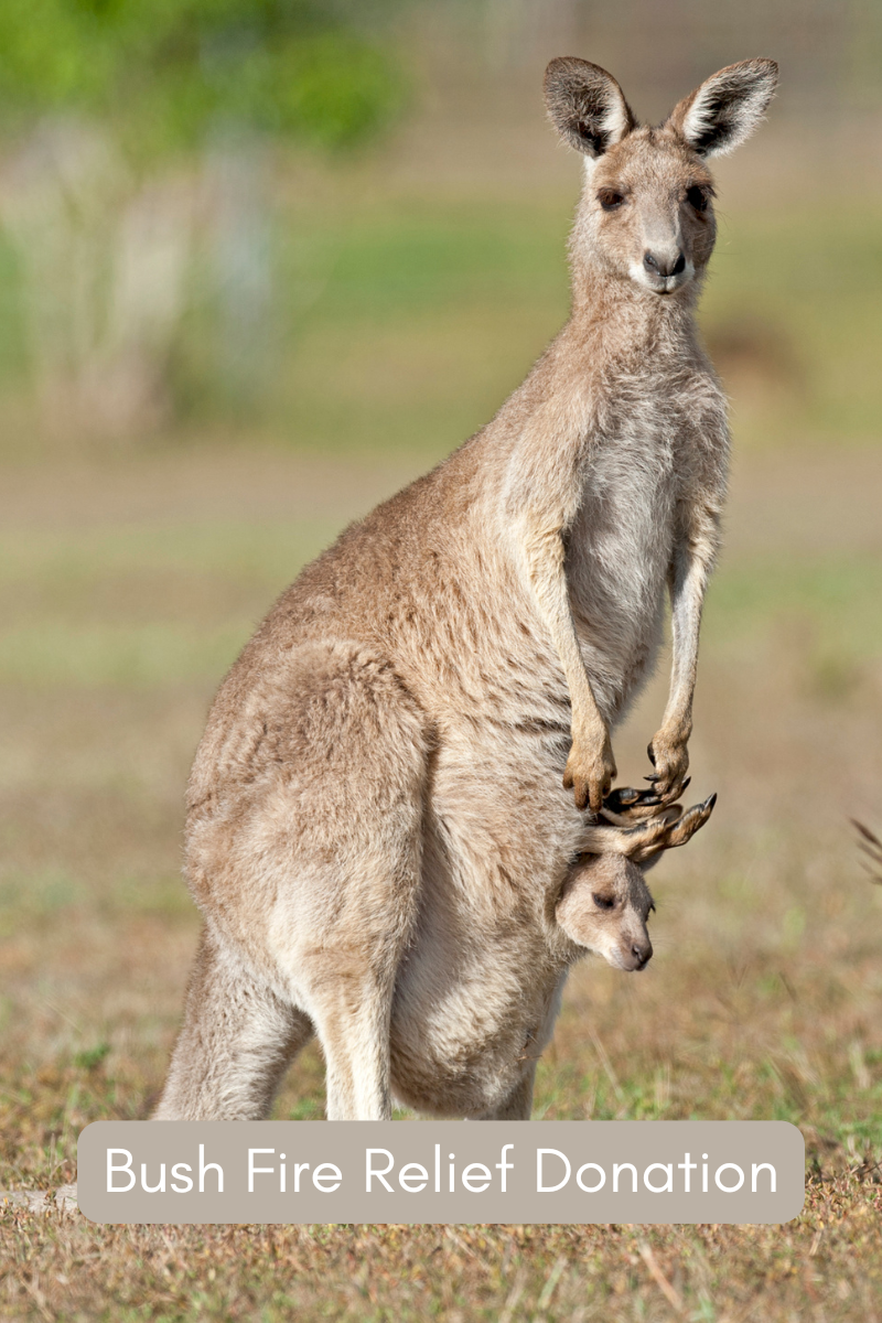 Animals Australia and WIRES Donation