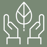 Environmental Impact